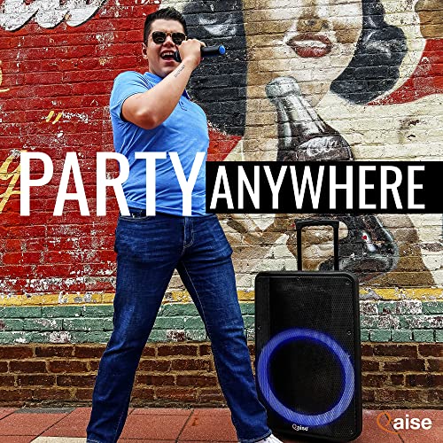 QAISE Portable Bluetooth Speaker & Karaoke Machine - Portable PA System with Wireless Mic, Professional Dual 12” Subwoofer with Lights, 7h Play time, 6000 Watts Peak Power - SonicBoomer X Douze