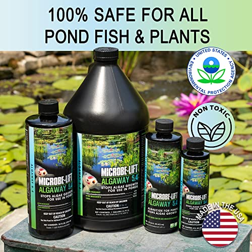 MICROBE-LIFT ALGA08 Algaway 5.4 Algae Control Treatment for Ponds and Water Gardens, Safe for Koi Fish, Goldfish, Plants, and Decorations, 8 Ounces