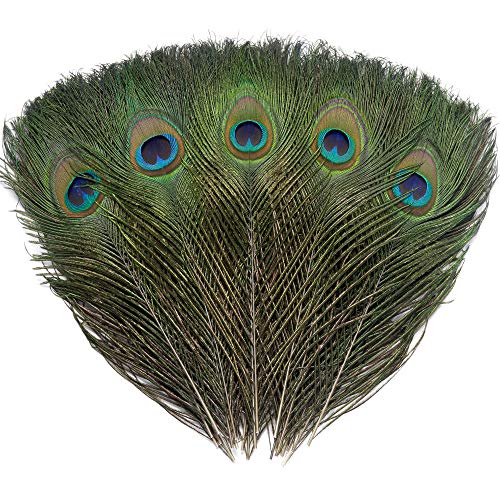 12 PCS Real Natural Peacock Eye Feathers 10-12 inch for DIY Craft, Wedding and Holiday Decorations