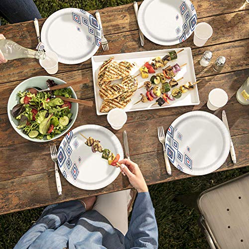 Dixie Everyday Paper Plates, 10 1/16", 220 Count, 5 Packs of 44 Plates, Dinner Size Printed Disposable Plates