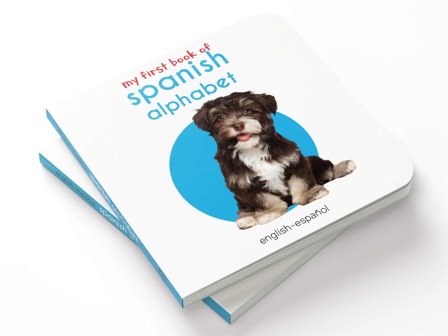 My First English - Español Learning Library (Mi Primera English - Español Learning Library): Boxset of 10 English - Spanish Board Books (Spanish Edition)