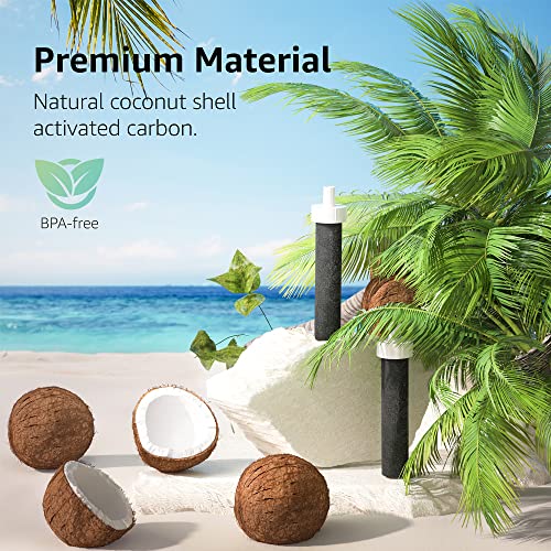 AQUA CREST Water Bottle Filter, Replacement for Brita® BB06, Brita Hard Sided, Stainless Steel and Plastic Bottle Filter, 4 Count