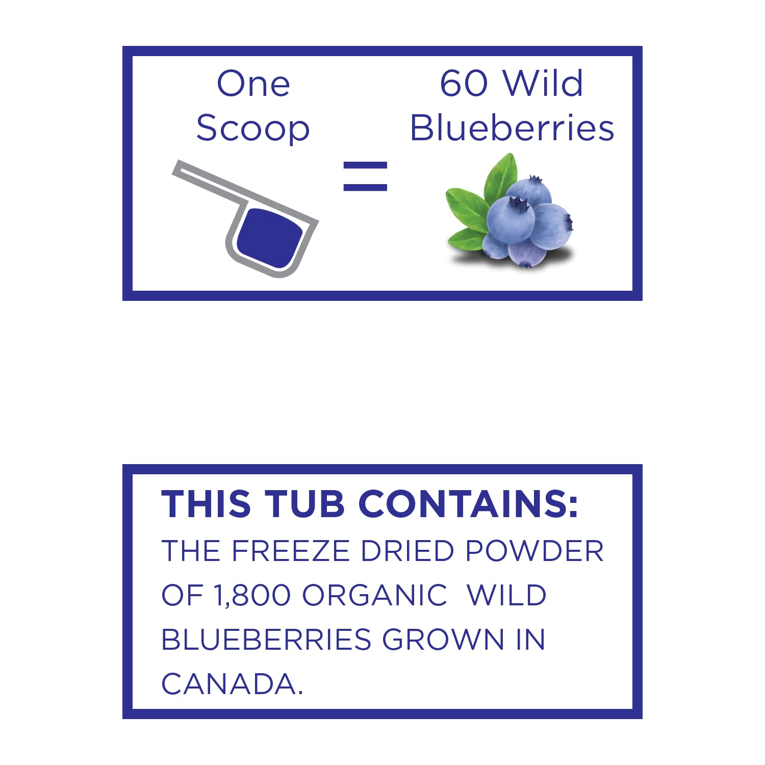 KOYAH - Organic Wild Blueberry Powder (Lowbush Variety - Vaccinium angustifolium): 30 Servings (1 Scoop = 60 Berries), Canada Grown, Freeze-Dried, Whole-Berry Powder