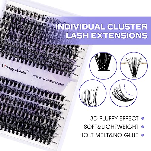 Individual Lashes DIY Eyelash Clusters 300PCS C/D Curl Lash Clusters Comfortable Cat Eye Lashes Super Soft Reusable Wispy Lashes Lash Clusters(300PCS-40D-0.07DD,8-16mm Mixed Tray)