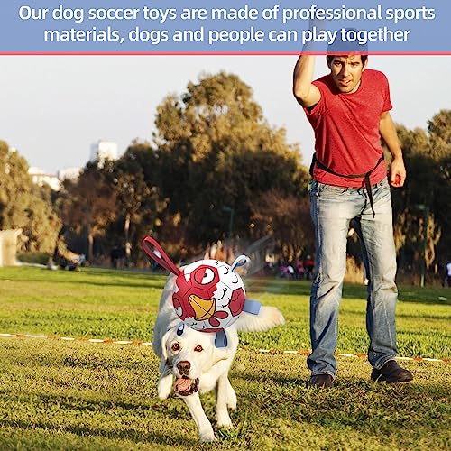 QDAN Dog Toys Soccer Ball with Straps - Durable Dog Balls for Extra Small Dogs, Beach Pool Dog Water Toy, Chicken Dog Toy, Puppy Dog Birthday Gifts, Herding Balls for Dog (5 Inch)