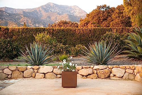Veradek Corten Steel Series Cube Planter - Square Metal Planter for Outdoor Patio/Garden | Naturally Rusting Steel for All-Weather Use | Modern Rustic Décor for Trees, Flowers, Tall Trees
