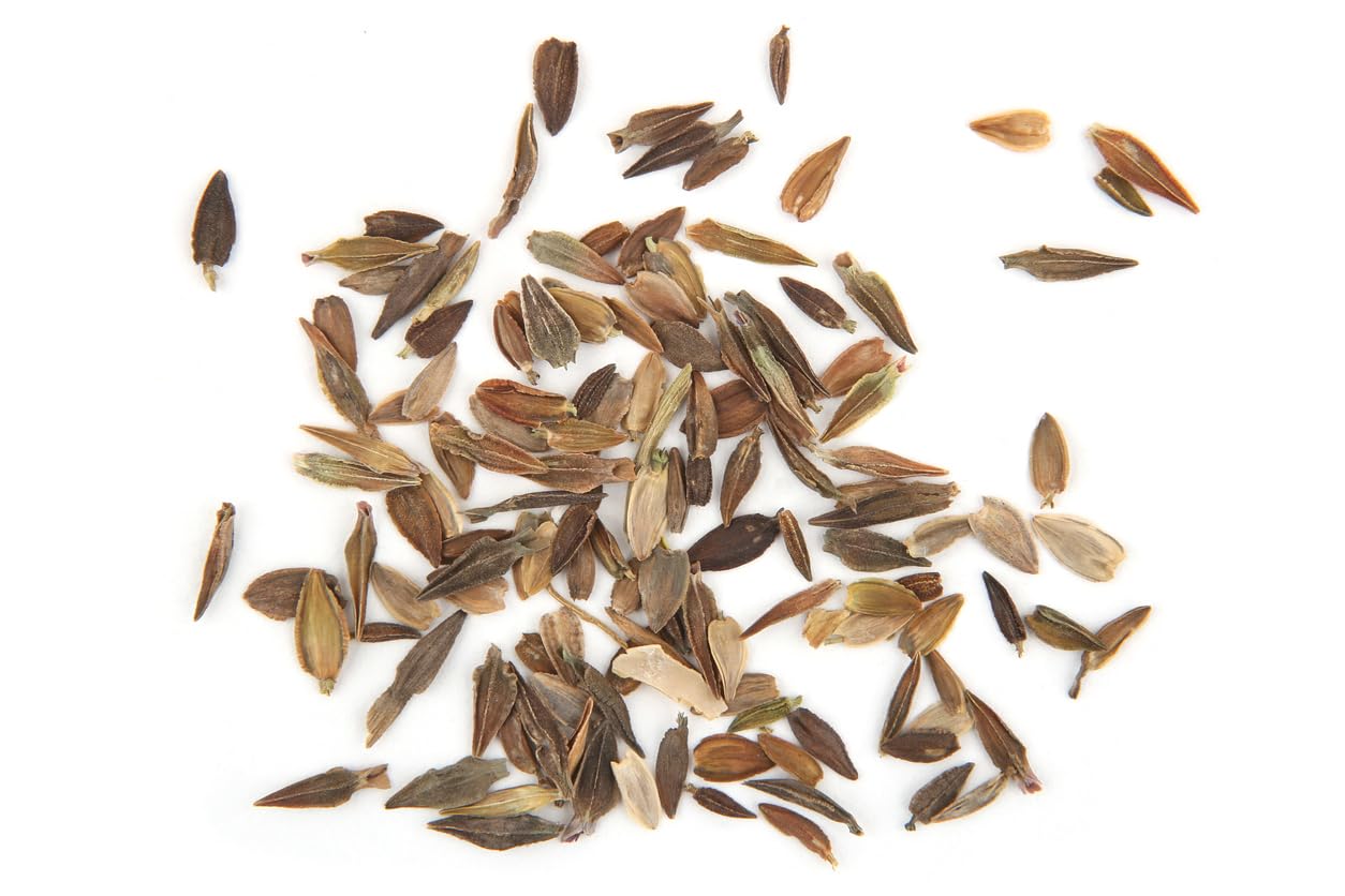 Cut and Come Again Mixed Zinnia Seeds - Approximately 300 Seeds
