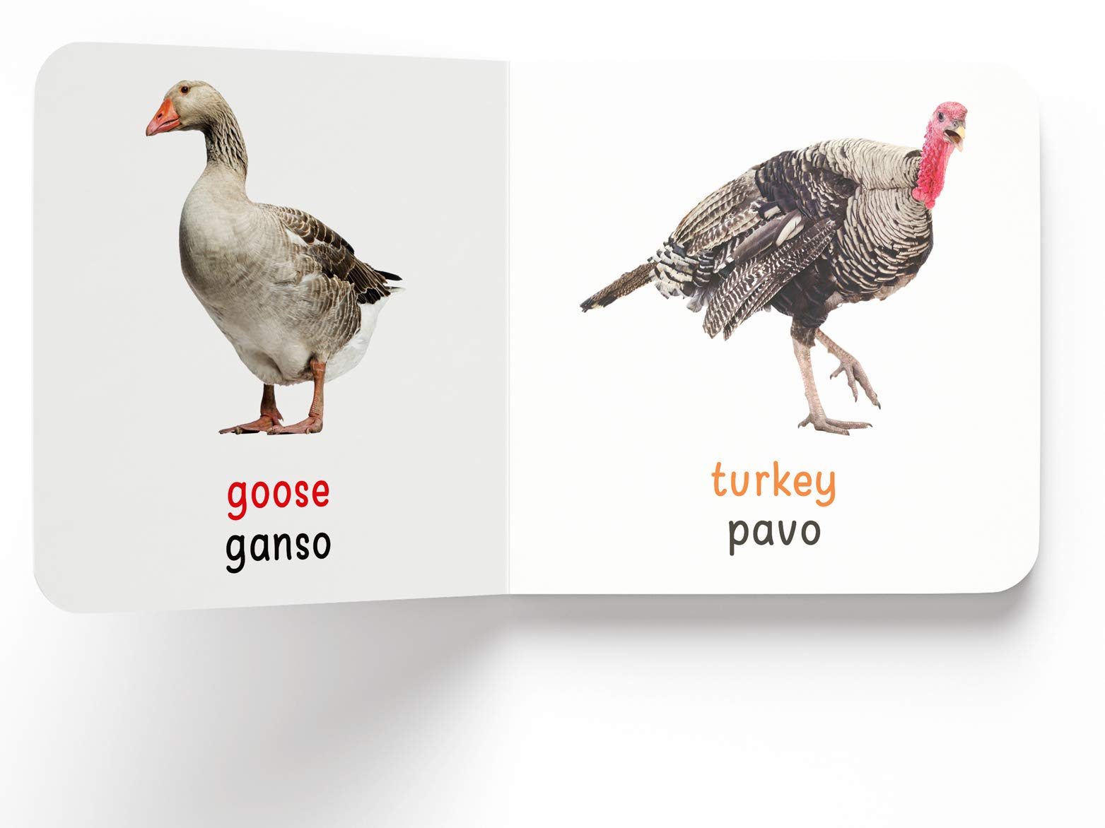 My First English - Español Learning Library (Mi Primera English - Español Learning Library): Boxset of 10 English - Spanish Board Books (Spanish Edition)