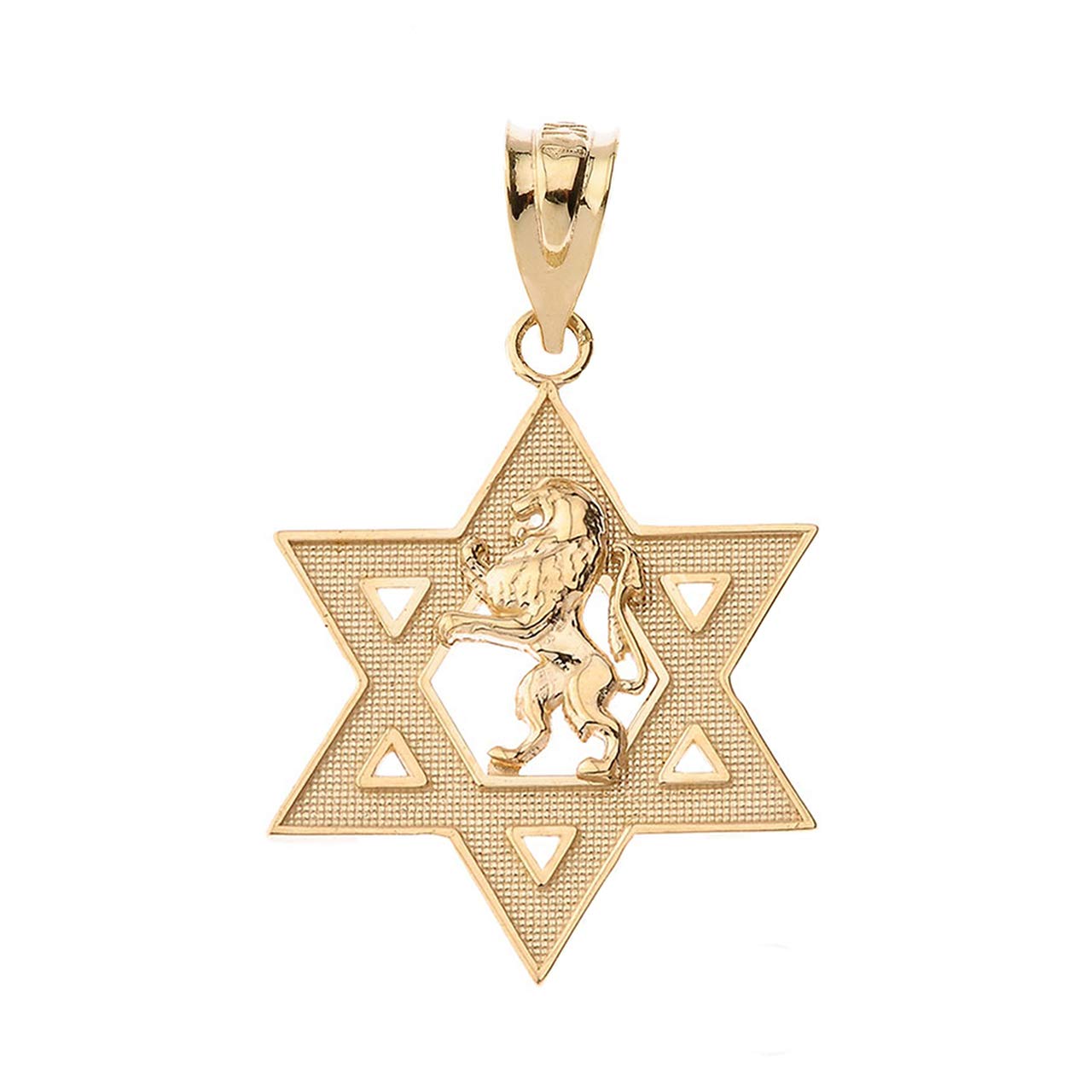 Claddagh Gold Certified 14k Yellow Gold Israel Lion of Judah Magen David Star Hebrew Pendant