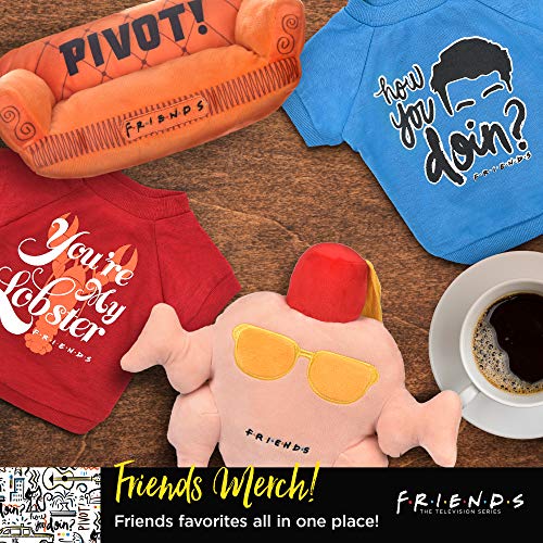 Friends the TV Show We were On A Break Dog T Shirt in Grey | Soft Dog Shirt, Machine Washable Pull-Over Dog Tshirt, Light Weight & Semi-Stretch | Size X-Small for All Small Dogs and Puppies