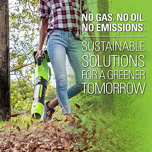 Greenworks 24V (110 MPH / 450 CFM / 125+ Compatible Tools) Cordless Brushless Axial Leaf Blower, 4.0Ah Battery and Charger Included