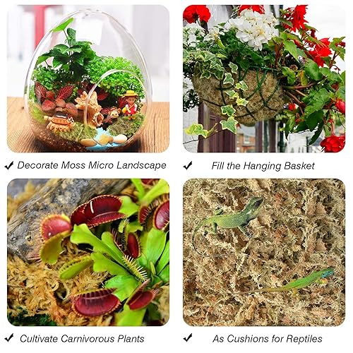 Halatool 3OZ Natural Sphagnum Moss for Plants 2 QT Premium Peat Moss Dried Long Fiber Orchid Moss for Orchid Repotting Carnivorous Succulents Garden Flowers Crafts Terrarium and Reptiles