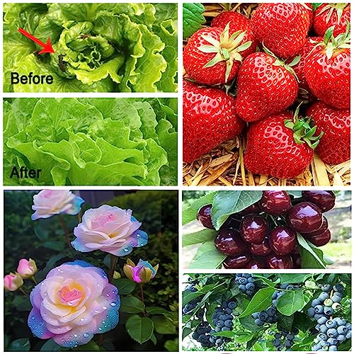 Garden Netting, 2 Pack 5x10Ft Ultra Fine Mesh Netting Pest Barrier Protection Bird Mosquito Net Plants Cover for Vegetables Fruits Flowers Crops Greenhouse Row Cover Raised Bed Patio Mesh Netting