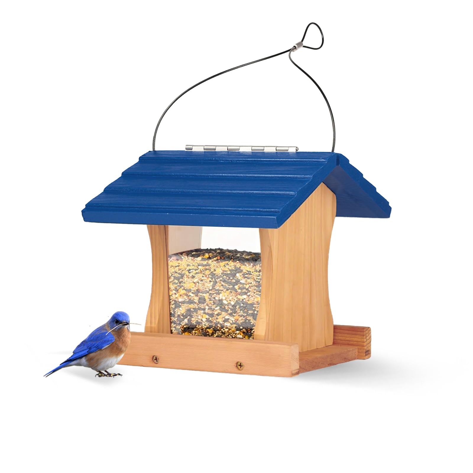 Ranch Hopper Bird Feeders for Outside Extra Thickness 13/16", Bird Feeder Kit for Kids to Build - Alaskan Red Cedar Wood Birdhouse Building with Hanging Cable, Paints and Brushes -Patented