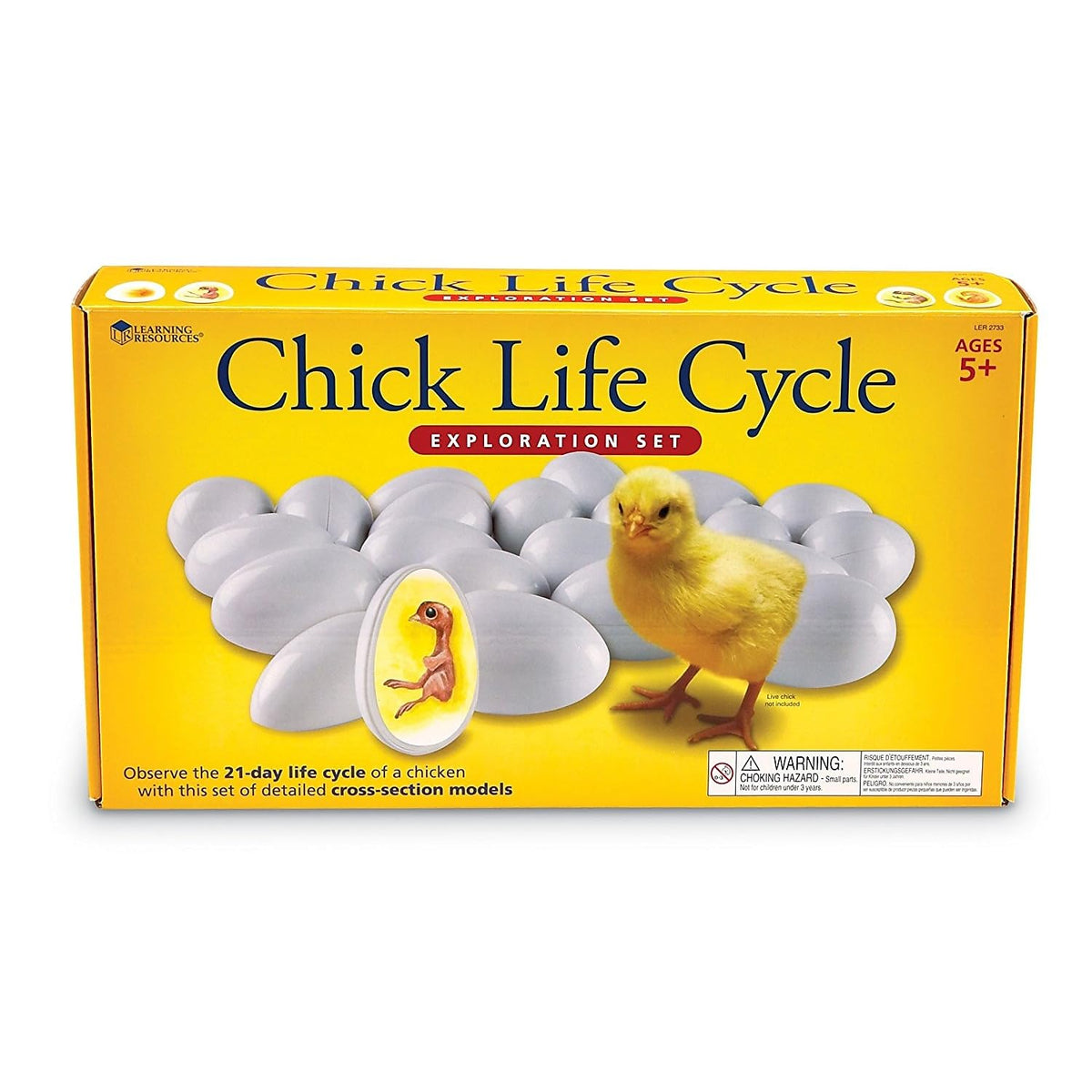 Learning Resources Chick Life Cycle Exploration Set, Multi-color