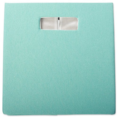 DII Poly-Cube Storage Collection Hard Sided, Collapsible Solid, Large, Teal