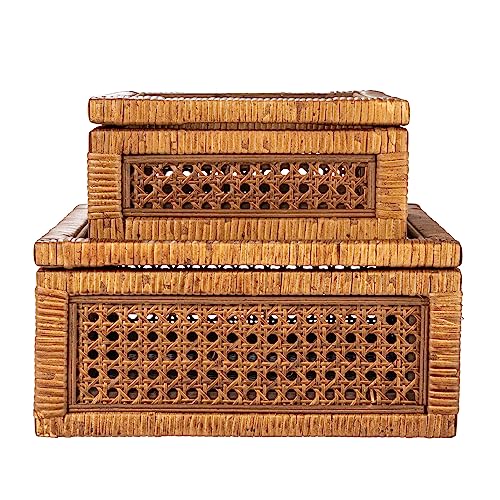 Creative Co-Op Modern Decorative Rectangle Woven Rattan and Wood Display Boxes with Glass Top, Set of 2 Sizes, Dark Brown Finish, Rectangular