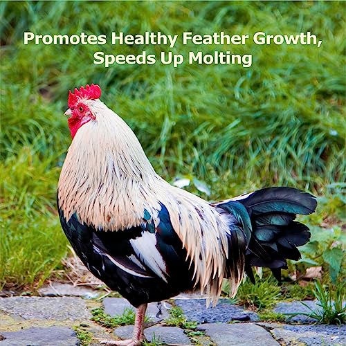 WORMSKING 2LB Dried Black Soldier Fly Larvae, More Calcium Than Dried Mealworms, High Protein Chicken Feed, Poultry Treat, Chicken Scratch