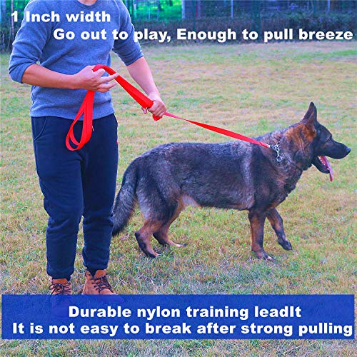 Siumouhoi Strong Durable Nylon Dog Training Leash, 1 Inch Wide Traction Rope, 6 ft 10ft 15ft Long, for Small and Medium Dog (Black, 6 Feet)