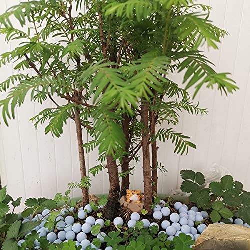 wohohoho 2.2lbs Mini Blue Hydroponics Clay Pebbles, Upgraded 3mm-5mm Hydro Ceramsite Balls, Horticultural Plant Top-Dressing Decorative Rocks for Aquaponics, Drainage Water, Purification, Cultivation