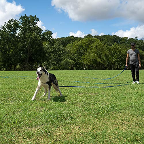 HIKISS Long Dog Leash Obedience Recall Training Agility Lead with Thickening Material for Large Dog - 15ft 20ft 30ft 50ft 100ft Training Leash(Green 20ft)