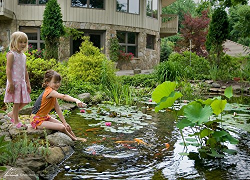 Aquascape MAINTAIN Automatic Dosing System Water Treatment for Pond, 32 oz/946 ml | 96032
