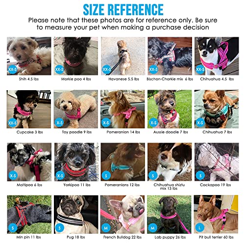 Lukovee No Pull Dog Harness and Leash Set, Soft Padded Small Dog Harness, Neck & Chest Adjustable Reflective Vest Puppy Harness with 4ft Lightweight Anti-Twist Dog Leash for Small Dogs (XXS, Purple)