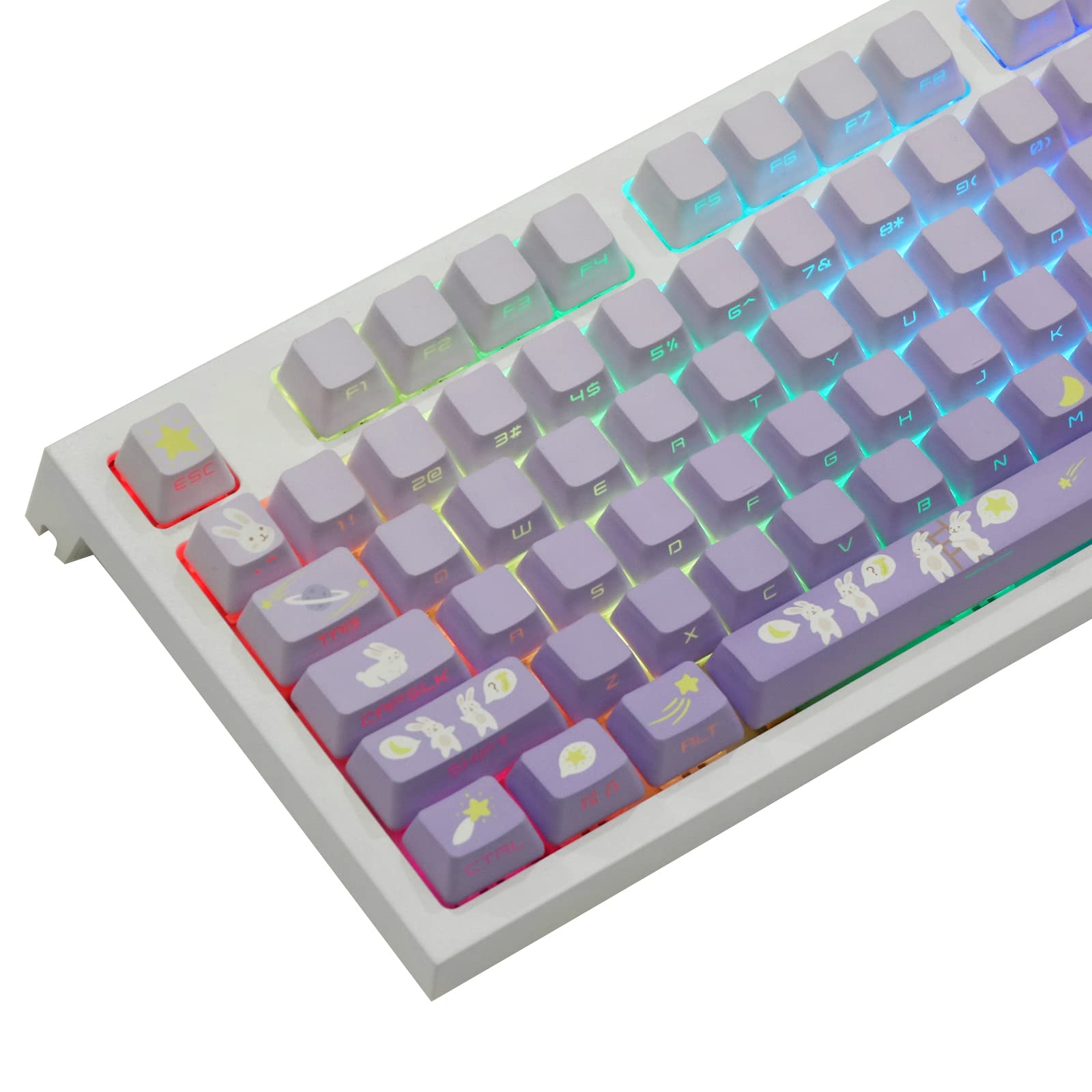 EPOMAKER Moonlit Bunny 138 PBT Keycaps Set, Side-printed, Side-lit Shine Through Five-side Dye Sublimation OEM Profile Gradient Keys for Mechanical Gaming Keyboard