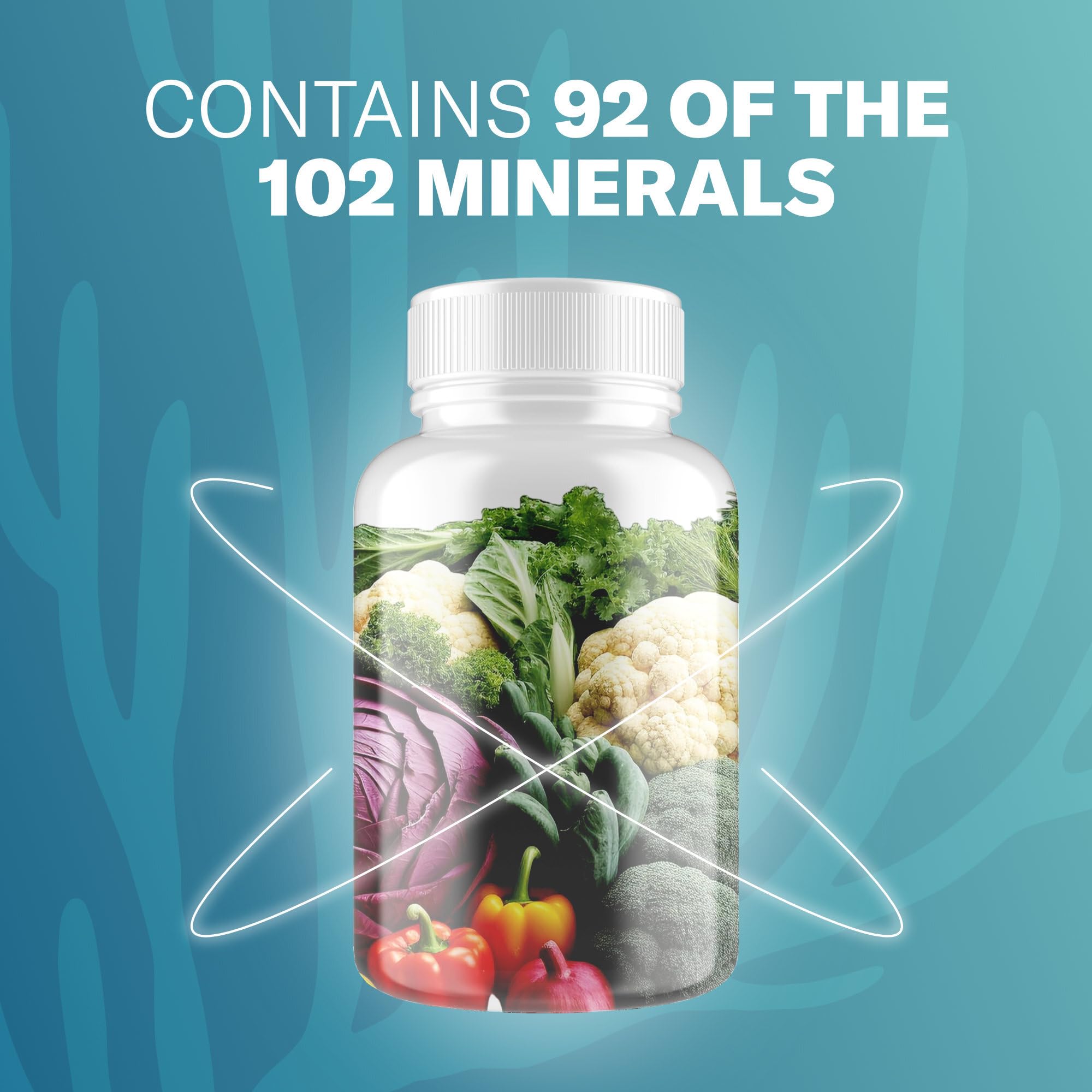 TrueSeaMoss Irish Sea Moss Capsules - 120 Original Capsules (1600mg) - Prebiotic Superfood - Boosts The Immune & Digestive System - Healthy Skin, Keto Detox, Gut, Joint Support