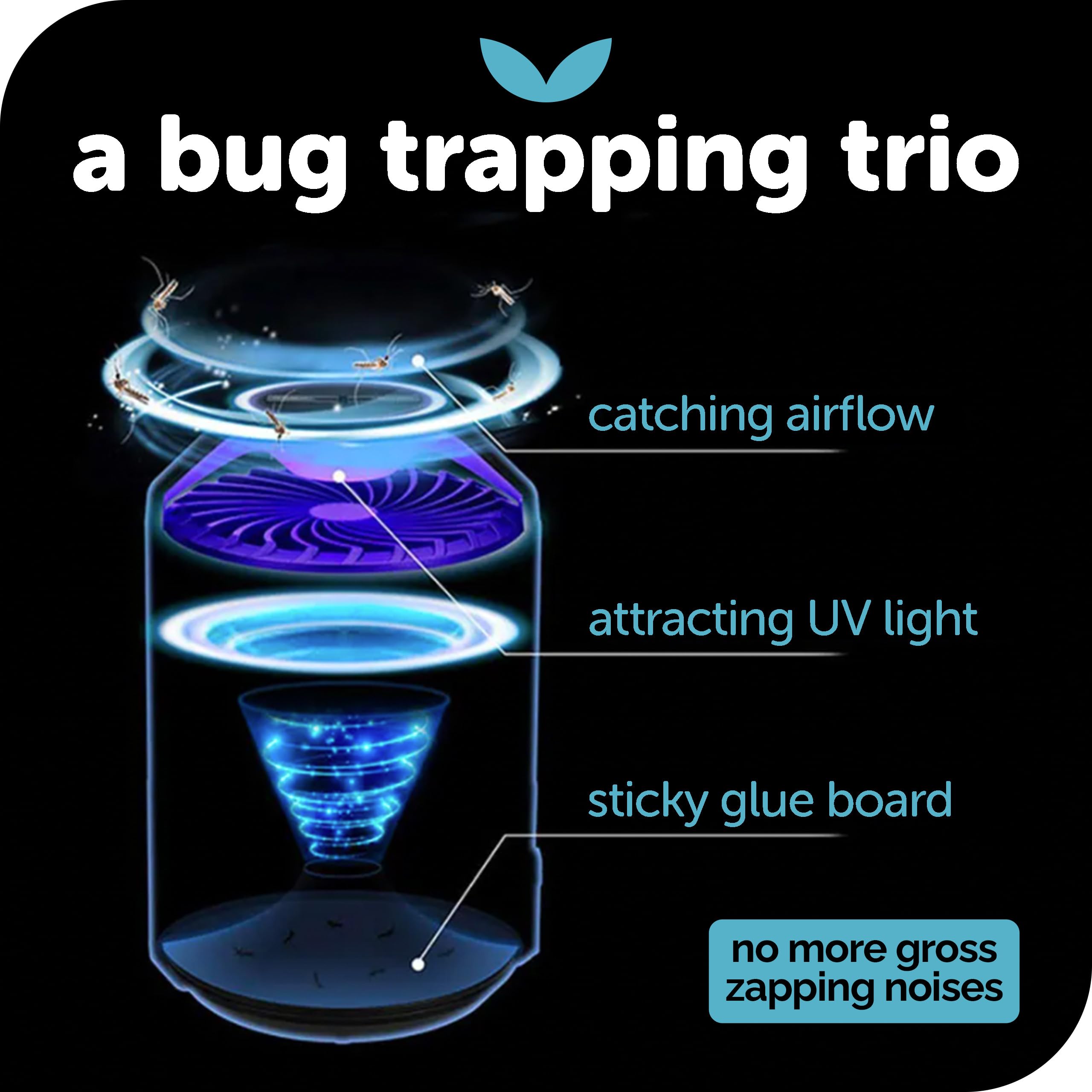 Katchy Midnight - Indoor Insect Trap with Automatic Setting - Fan Powered with UV Light - Fruit Fly Traps for Indoors - for Fruit Flies, Gnats, Mosquitoes, Moths