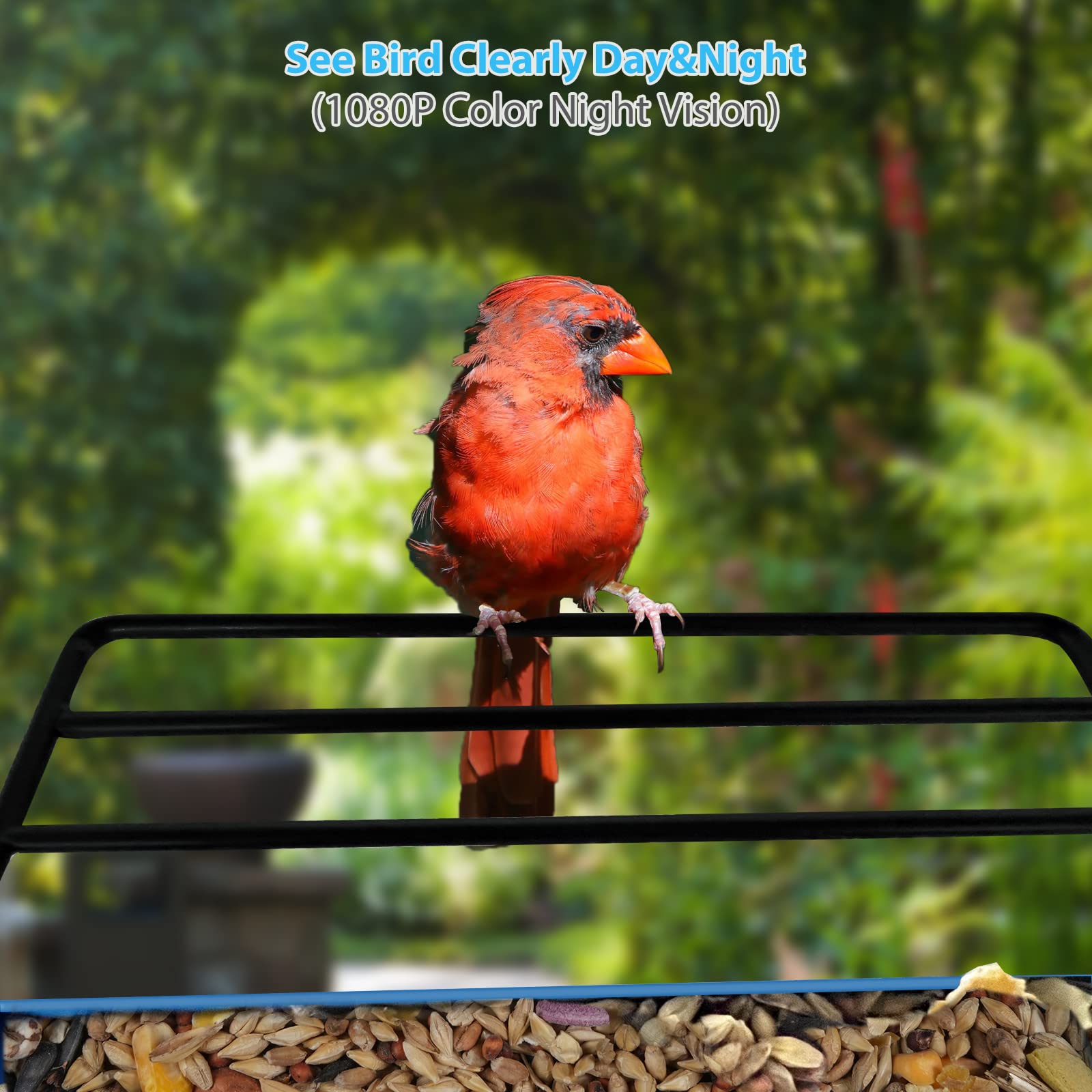 Smart Bird Feeder with Camera.Auto Capture Birds Videos & Bird Motion Detection,Wireless App Notification,Birdhouse Camera,Lifetime 32G Free Space.Idea Gift