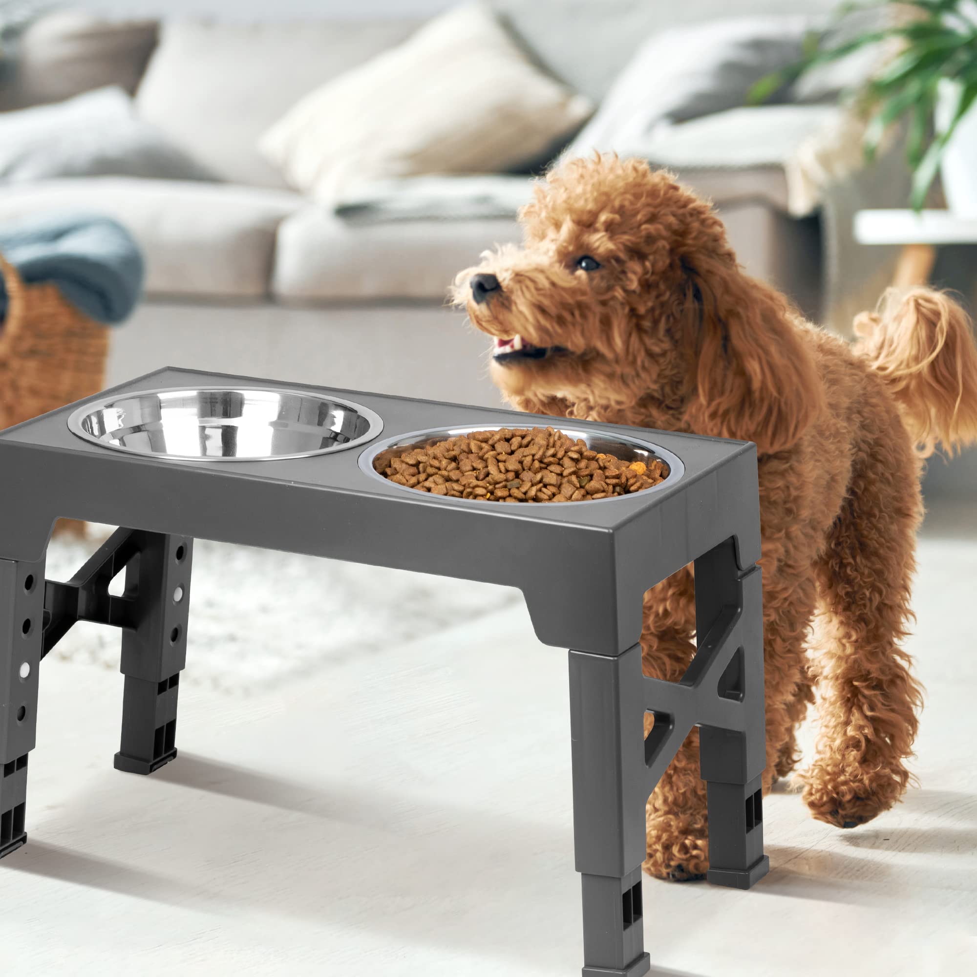 Elevated Dog Bowls, 5 Adjustable Heights Raised Dog Bowl Stand with Double Stainless Steel Dog Food Bowls, Adjusts to Heights 3.2", 8.7", 9.8", 11", 12.2" for Small Medium Large Pets Dogs and Cats