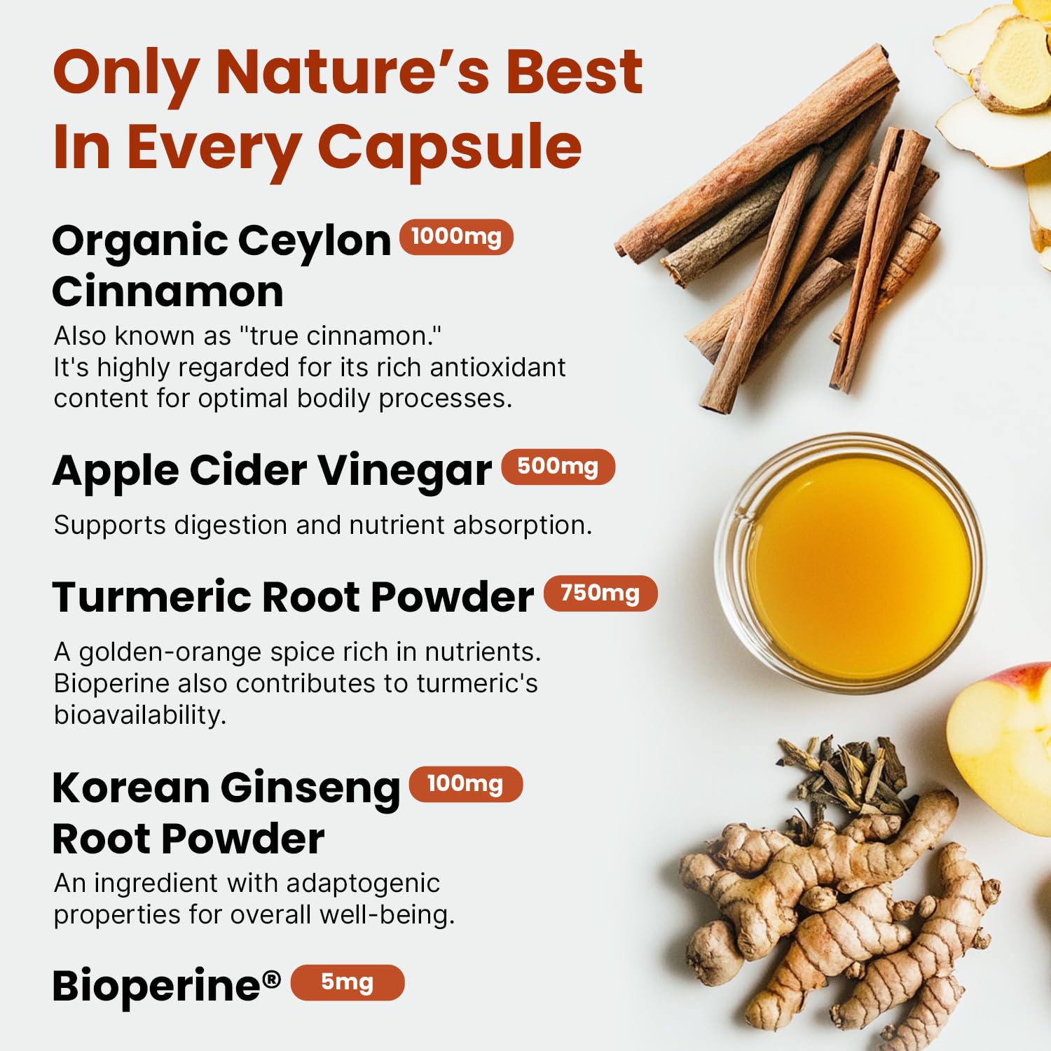 5-in-1 Ceylon Cinnamon Capsules 2355mg - Ceylon Cinnamon and Apple Cider Vinegar Capsules - Turmeric and Panax Ginseng - Cinnamon Supplements with Bioperine (120ct, Pack of 4)
