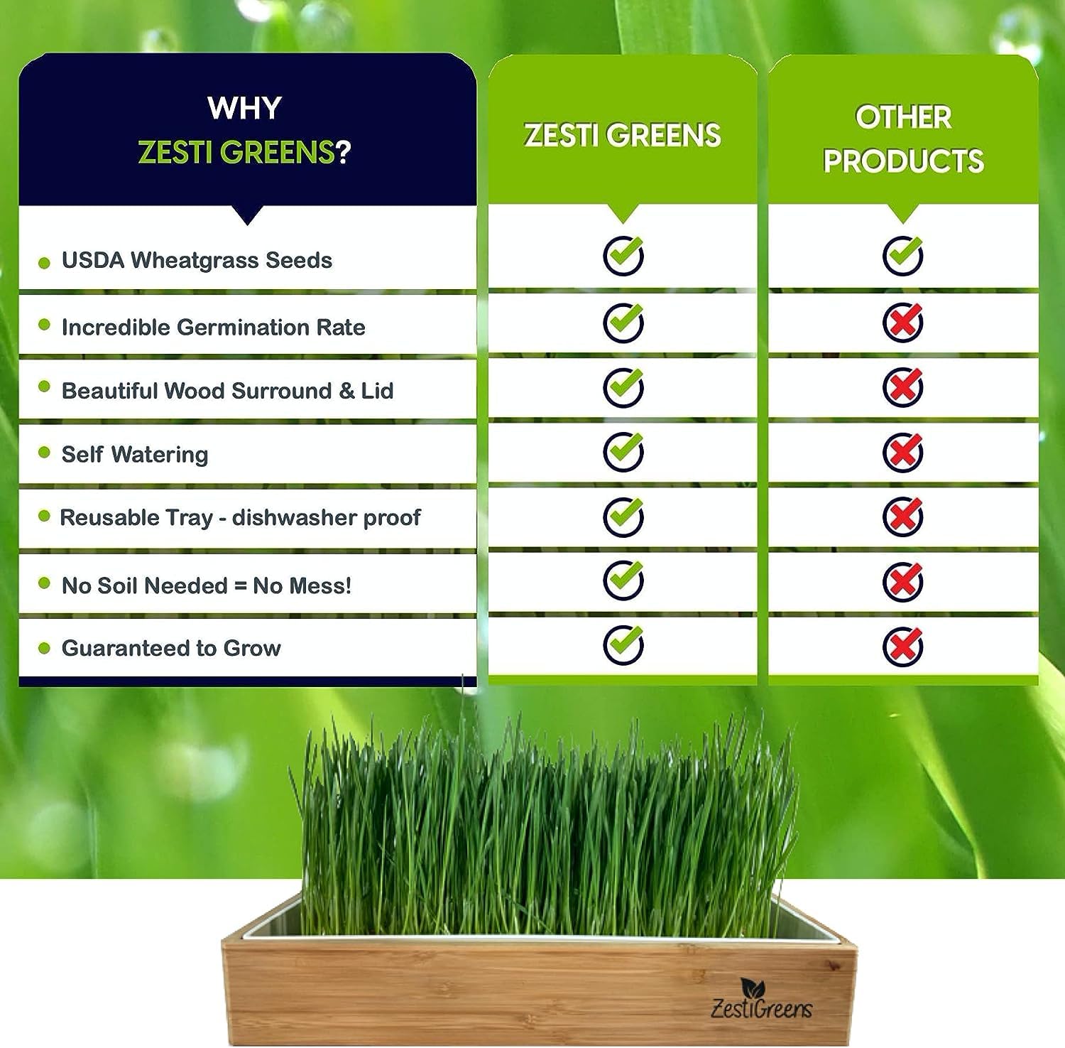 Organic Wheatgrass Growing Kit, Self Watering, with Soilless Grow Mats and Organic Wheatgrass Self Watering Kit Refill Mats & Seeds for 5 Crops (Refill Kits)