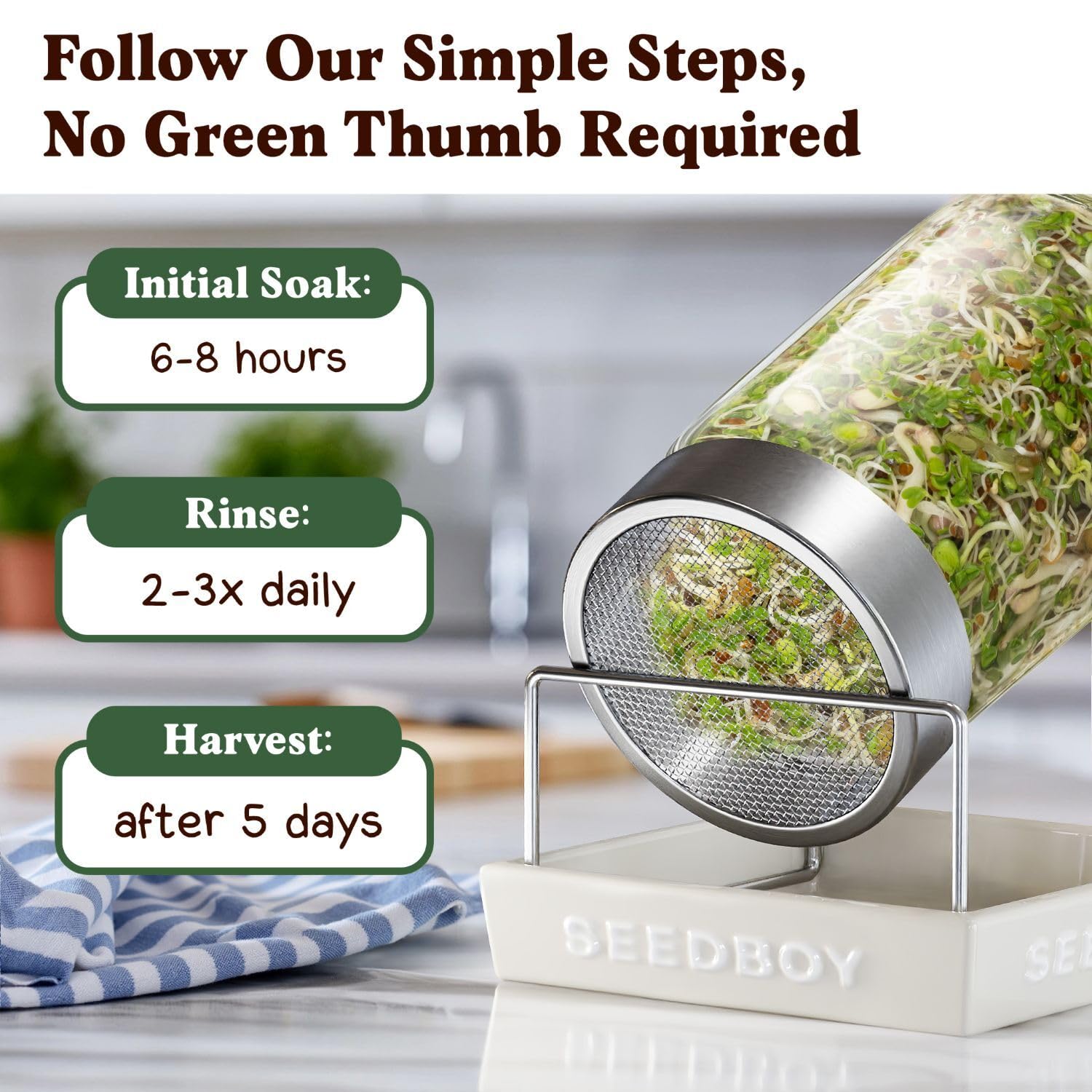 Seedboy Organic Non-GMO Sprouting Seeds, Fresh Salad Blend – USA Grown Microgreens Mix with Alfalfa, Broccoli, Radish, Mung Bean & Lentil – 8 oz Bag Makes 8 Quarts / 24 Servings (Salad Blend)