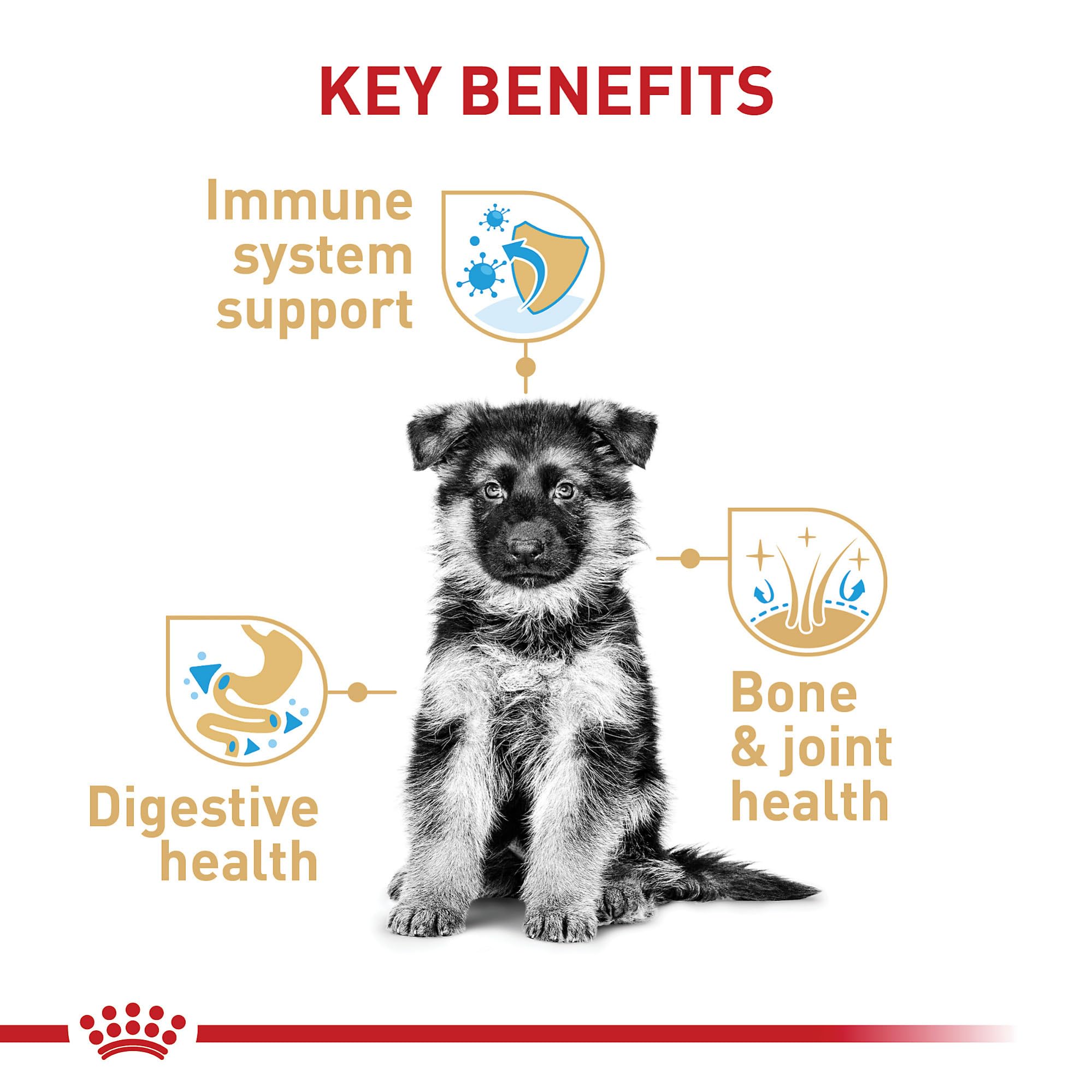 Royal Canin German Shepherd Puppy Breed Specific Dry Dog Food, 30 lb. bag