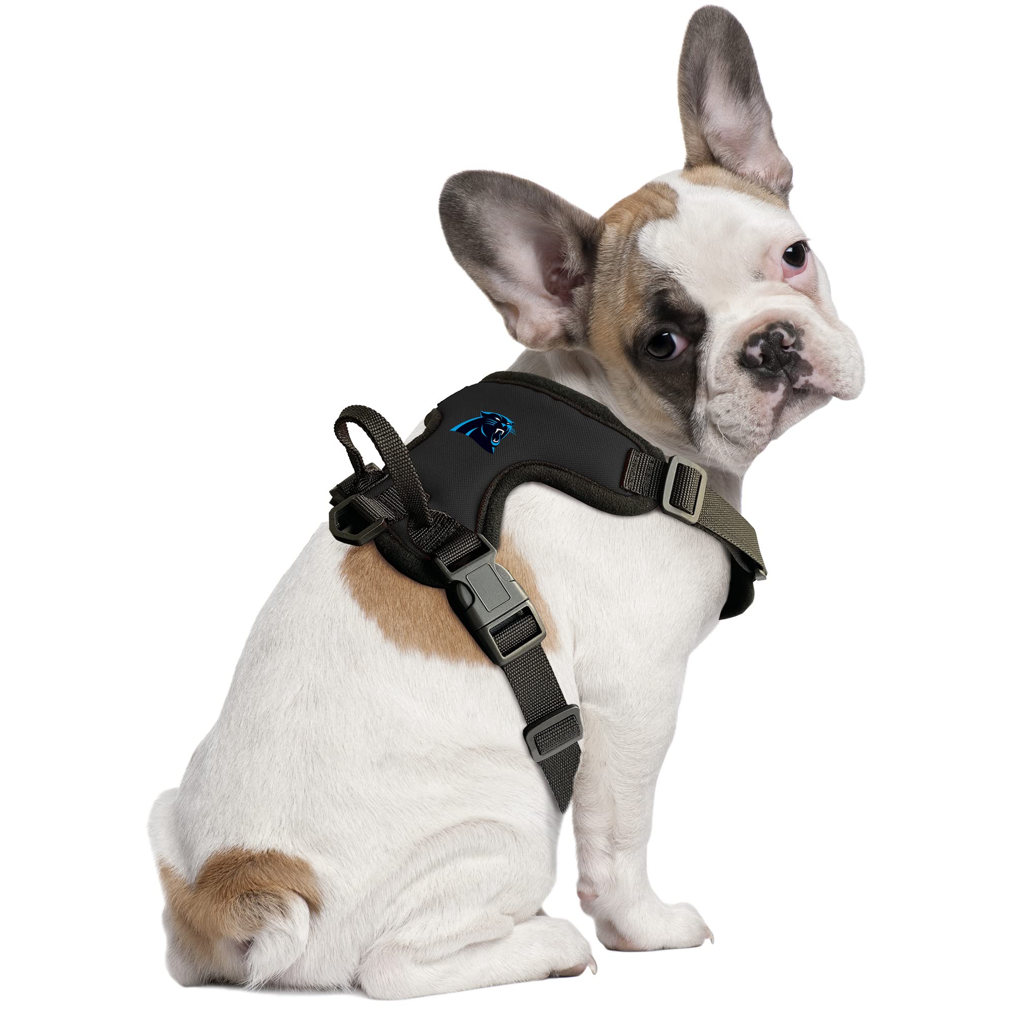 Littlearth Carolina Panthers NFL Front Clip Pet Harness