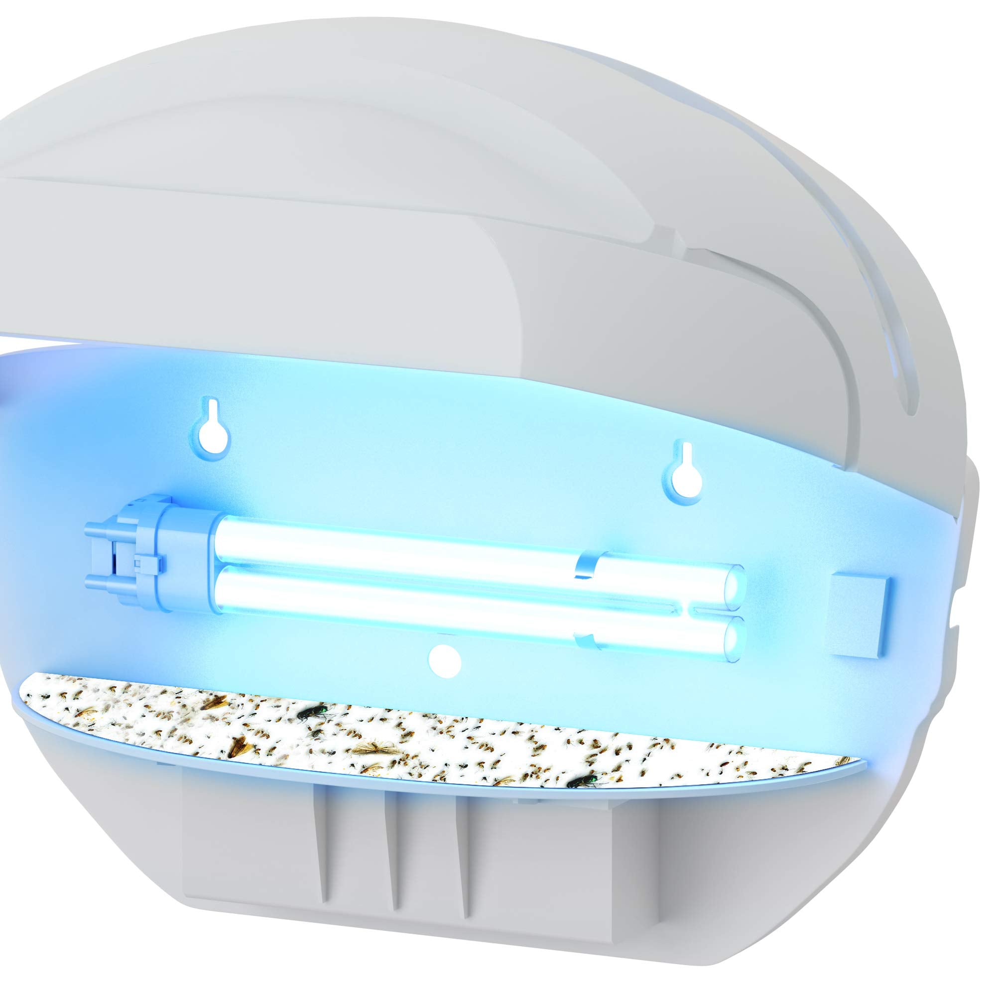 BLACK+DECKER Fly Trap- Fruit Fly Trap- Gnat Killer Indoor- Moth Traps- Indoor Fly Trap- Wall- Mounted Moth & Mosquito Killer via Non Toxic Sticky Glue Paper Insect Killer & Bug Catcher