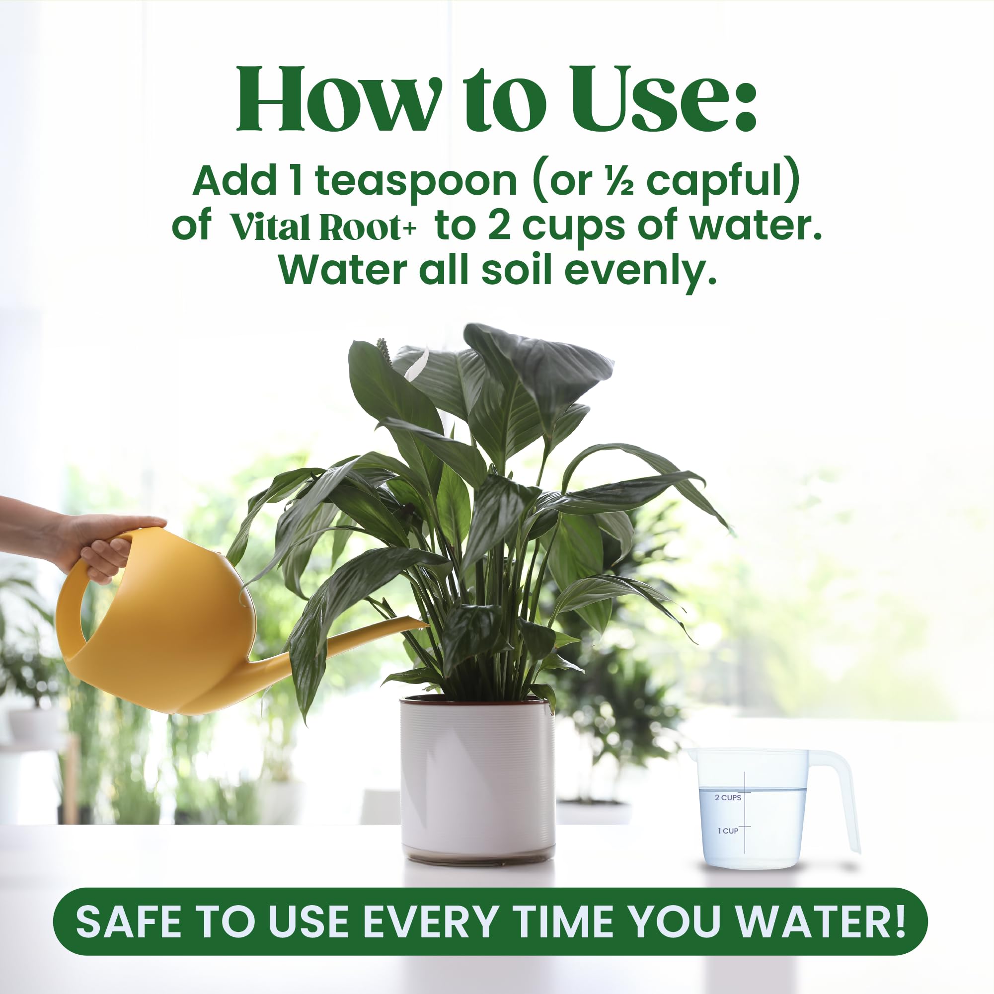 Root Supplement, Liquid Stimulator for Fiddle Leaf Fig & Indoor Plants - Propagation Promoter & Rot Treatment - Food for Healthy Roots, Stems & Leaves - Made in USA