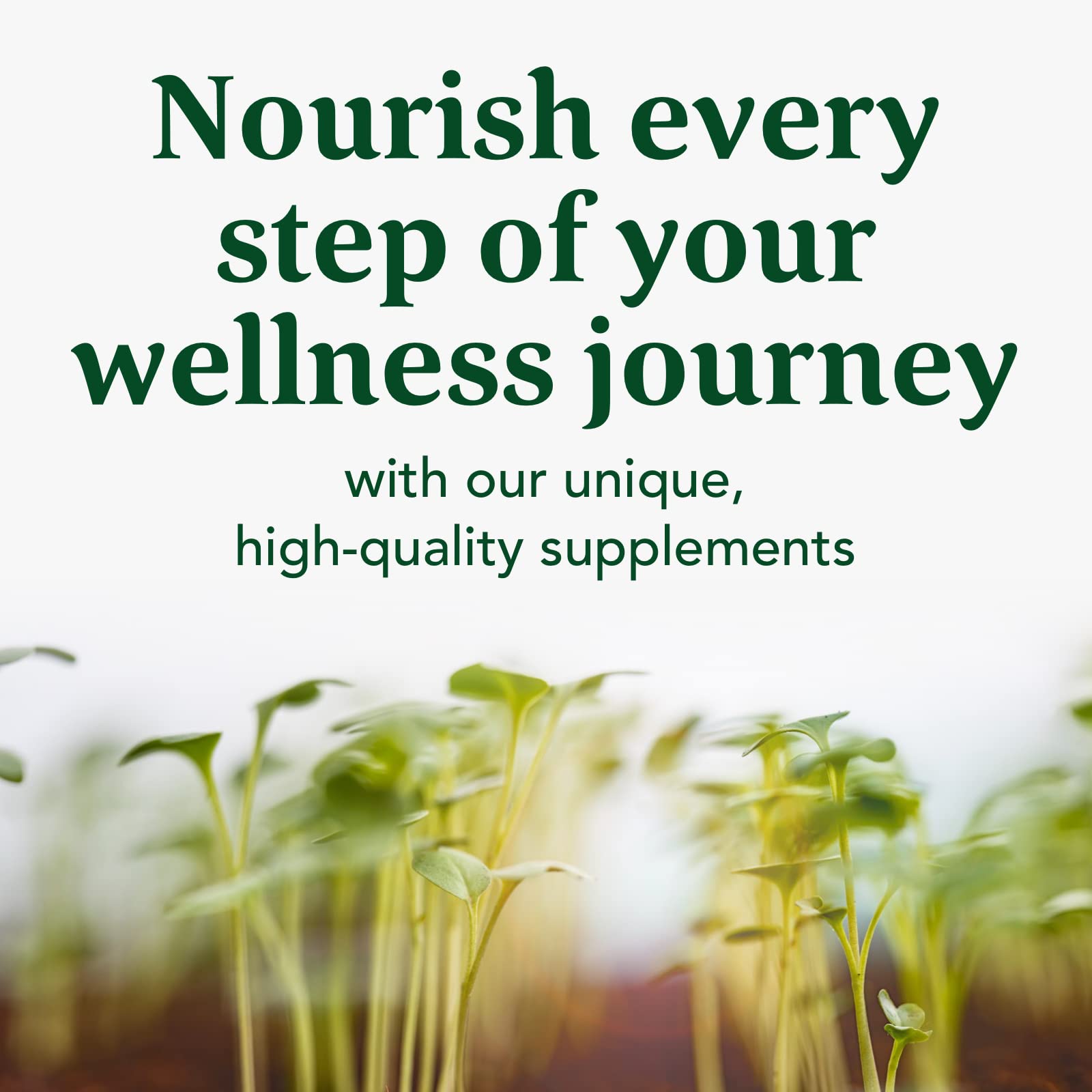 MegaFood Daily Turmeric Nutrient Booster Powder - Turmeric Supplement -with Black Pepper Extract, Tart Cherry & Vitamin C - Vegan - Made Without 9 Food Allergens - 2.08 Oz (30 Servings)