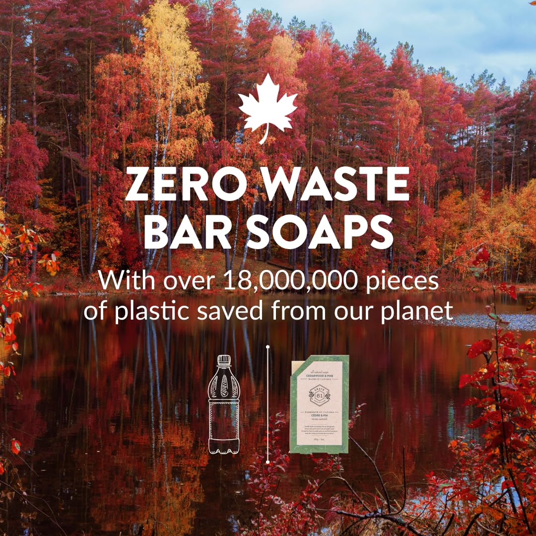 Crate 61, Handmade in Canada, Plant Based Cold Process Natural Bar Soap, With Premium Essential Oils, Dry Skin, Pack of 6 (Citrus)