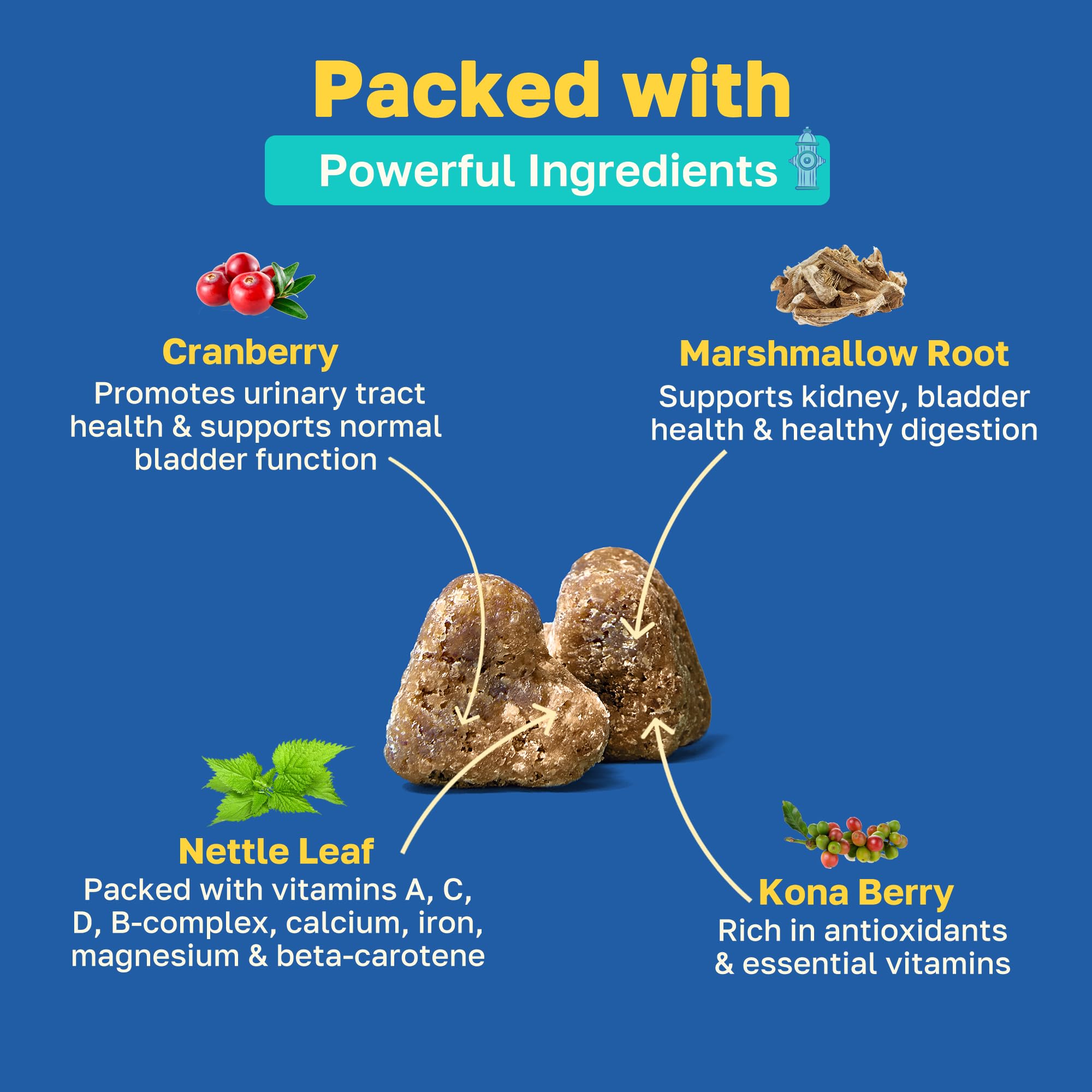 Happy Paws Bladder Supplement for Dogs, Urinary Support Soft Chews for All Breeds & Ages, Kidney Wellness Support with Cranberry & Antioxidants, Vegan Chicken Flavor, 100 Soft Chews
