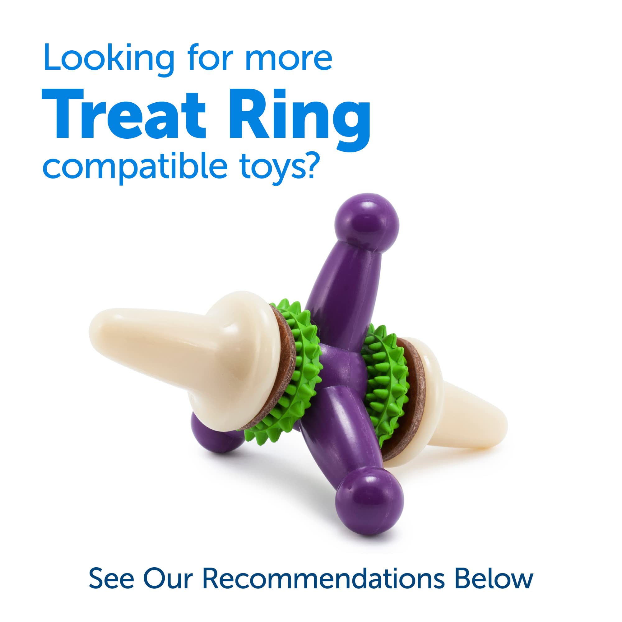 PetSafe Natural Rawhide Treat Ring Refills, Size C, Replacement Treats Busy Buddy Treat Ring Holding Toys, Large