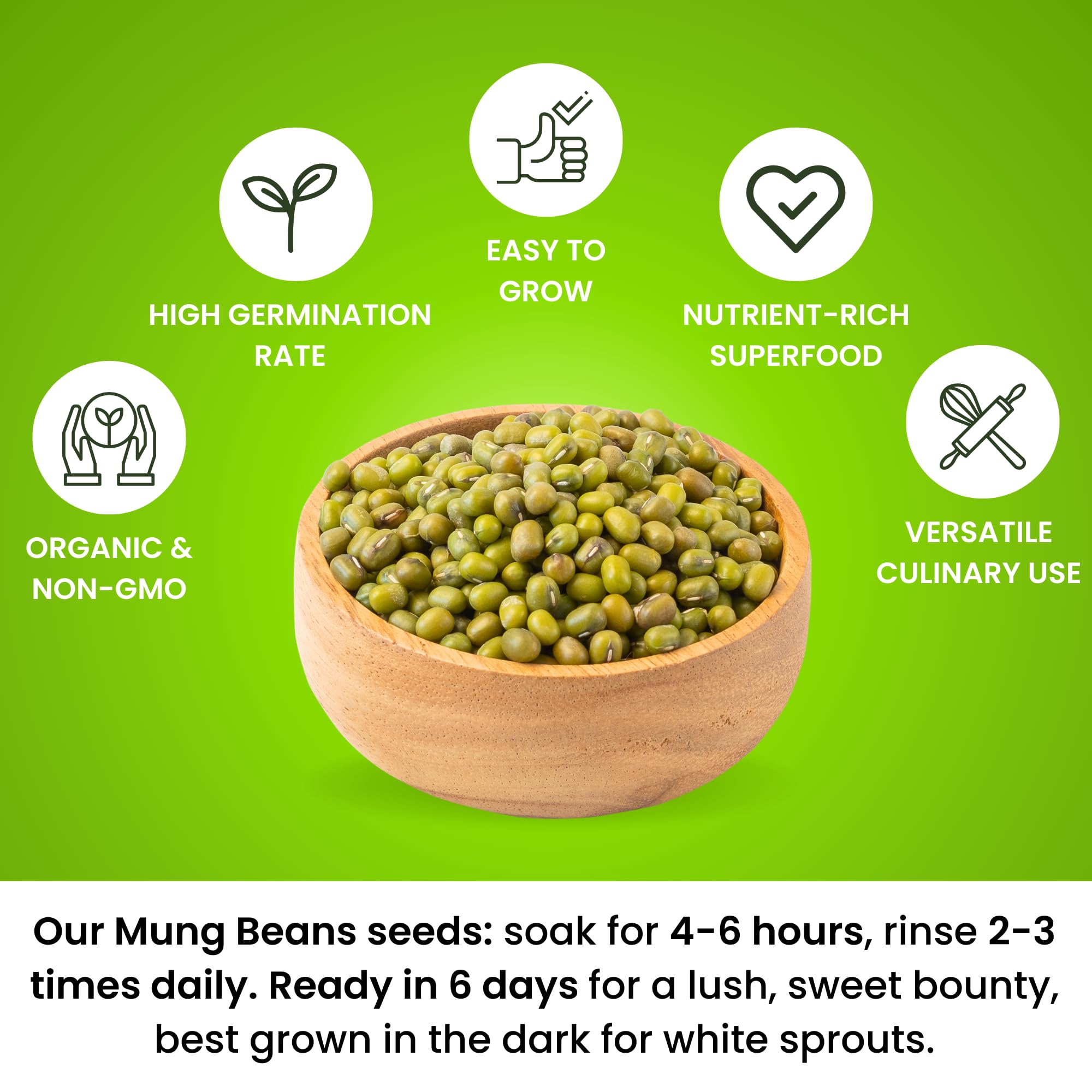 Mung Bean Sprouting Seeds - NON GMO- Resealable Bag for Longer Freshness – Rich in Vitamins, Minerals, Fiber (4 Oz.)