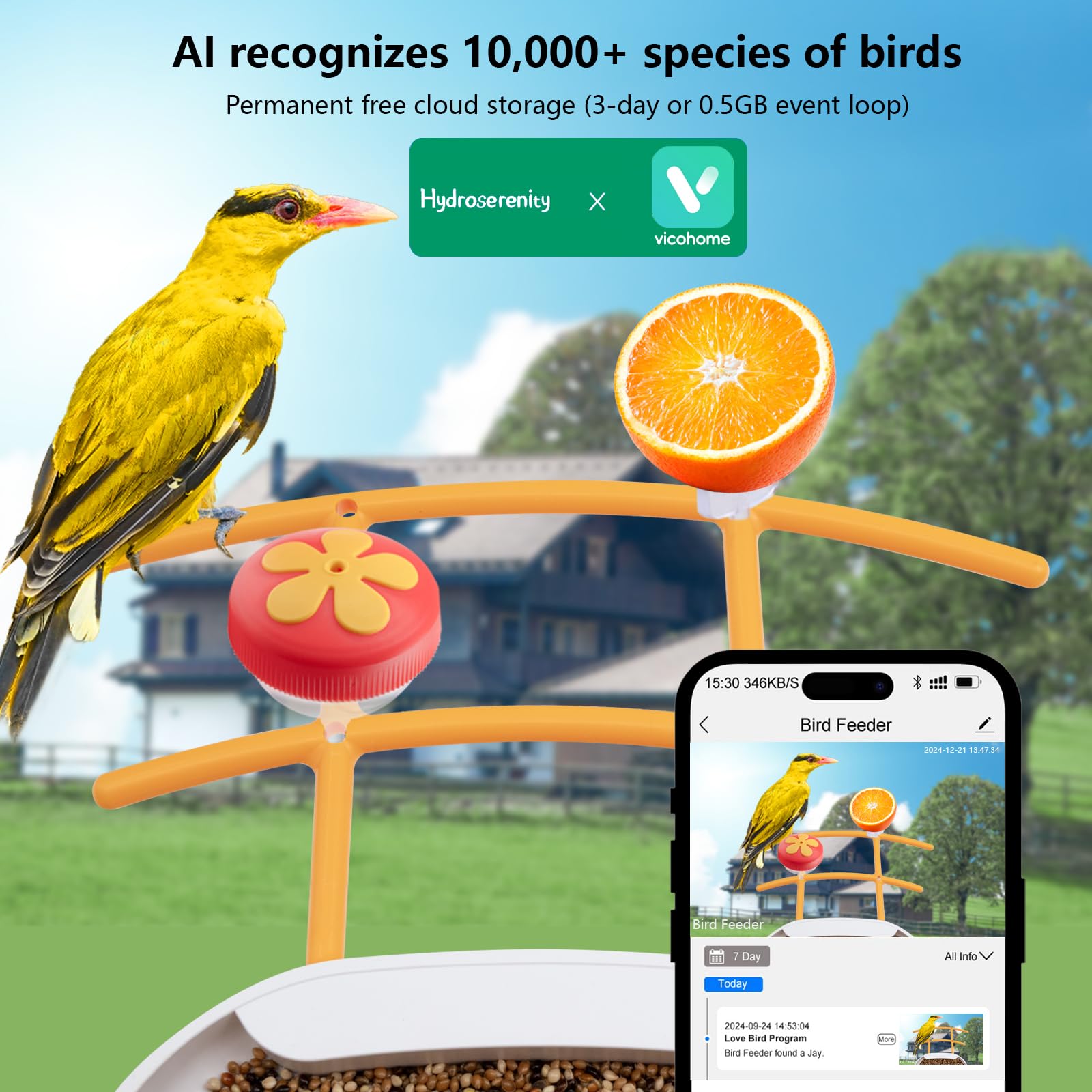 Bird Feeder with Camera Solar Powered, 2K Live Video, for Outdoor Backyard - Ai Identify Auto Capture Videos, Unique Outdoor Gifts for Mom Dad Birdlover