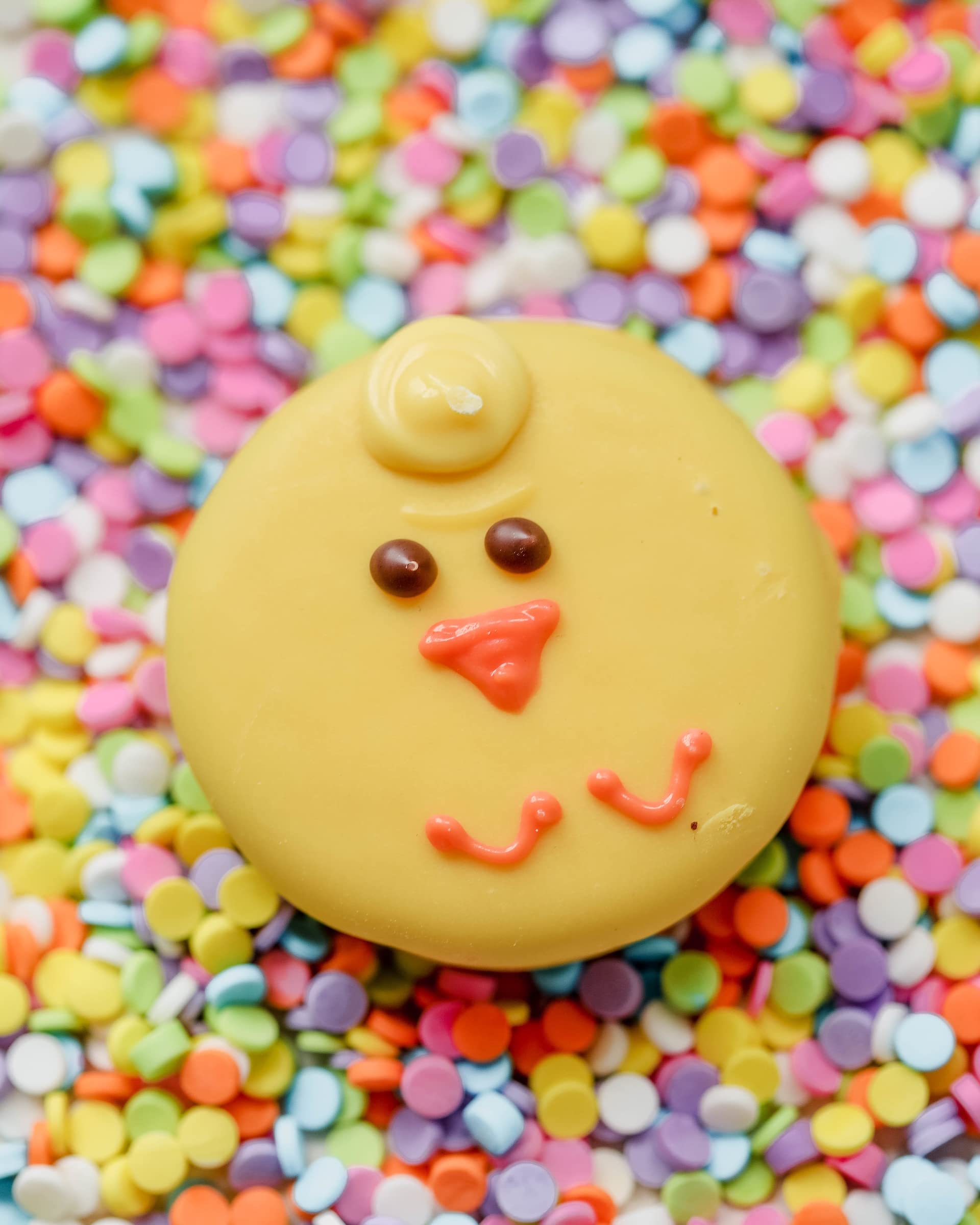 Easter Gift Baskets, Cookie Snack Variety Holiday Gifts, Spring Chocolate Gift Assortment, Unique Food Treats for Family Holiday Ideas, Bonnie & Pop