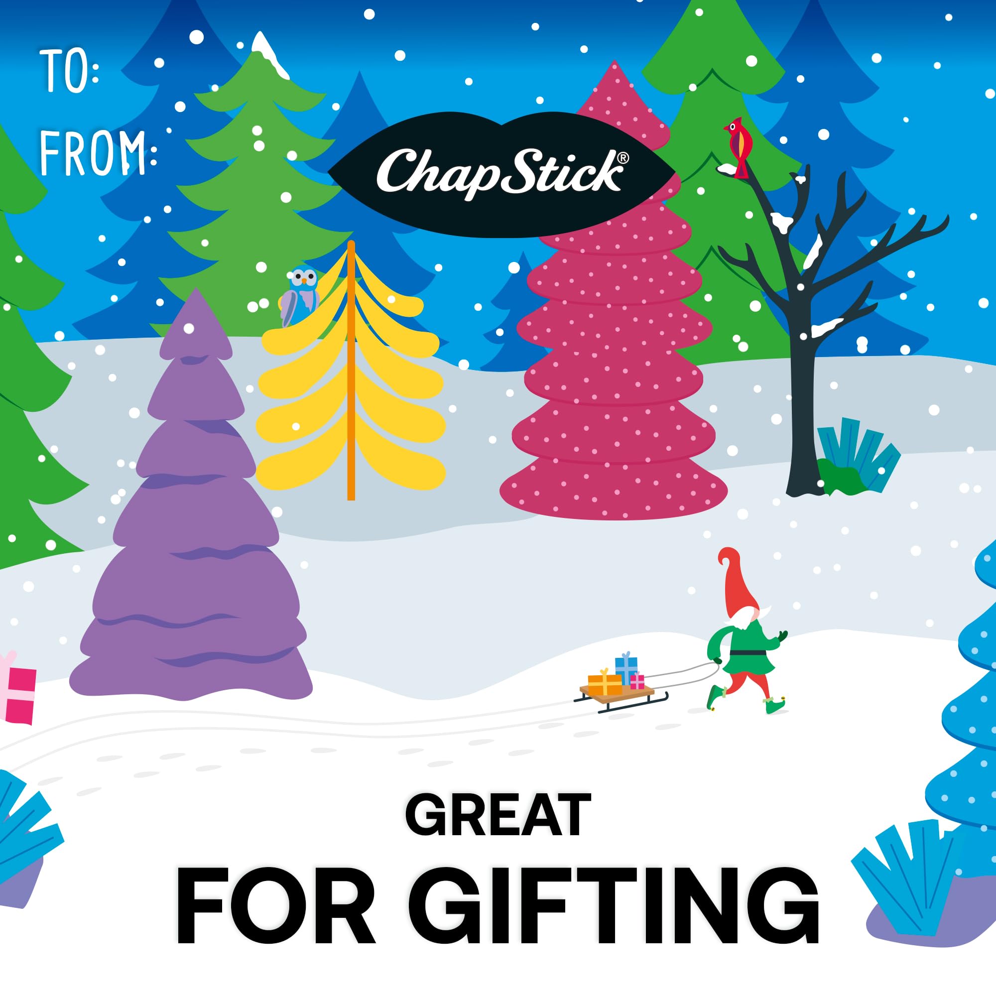 ChapStick Lip BalmVariety Holiday Gift Set, Stocking Stuffers, Christmas Gift 5 Count