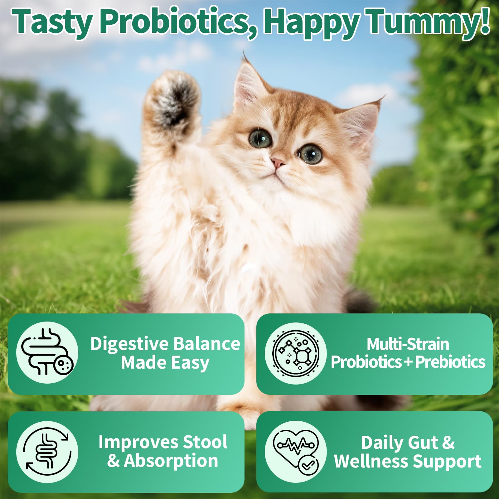 Gut & Digestive Skin Support for Cats and Dogs - Cat Probiotics Soft Chews + Dog Allergy Relief Drops- Healthy Skin, Coat,Gut Support for Cat or Dog Supplements & Vitamins