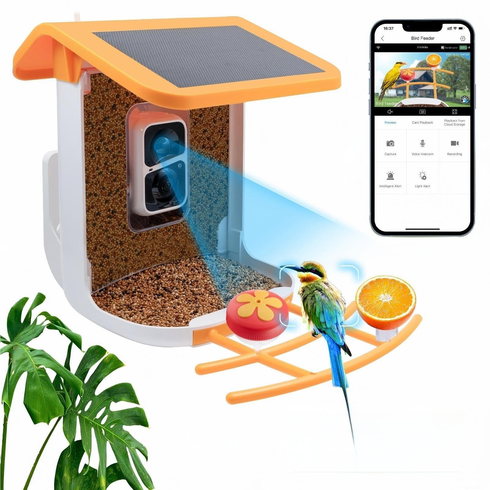 Bird Feeder with Camera Solar Powered, 2K Live Video, for Outdoor Backyard - Ai Identify Auto Capture Videos, Unique Outdoor Gifts for Mom Dad Birdlover
