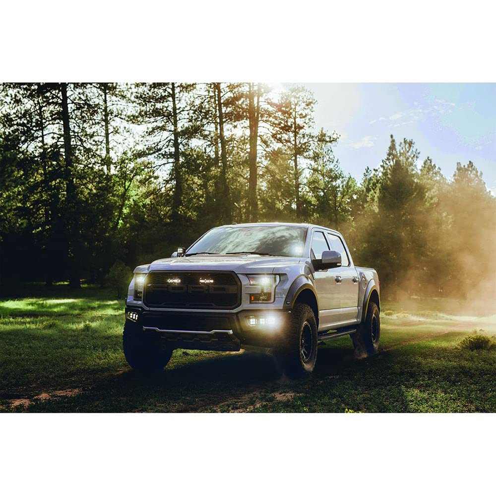 D-SERIES PRO SPOT SM /2